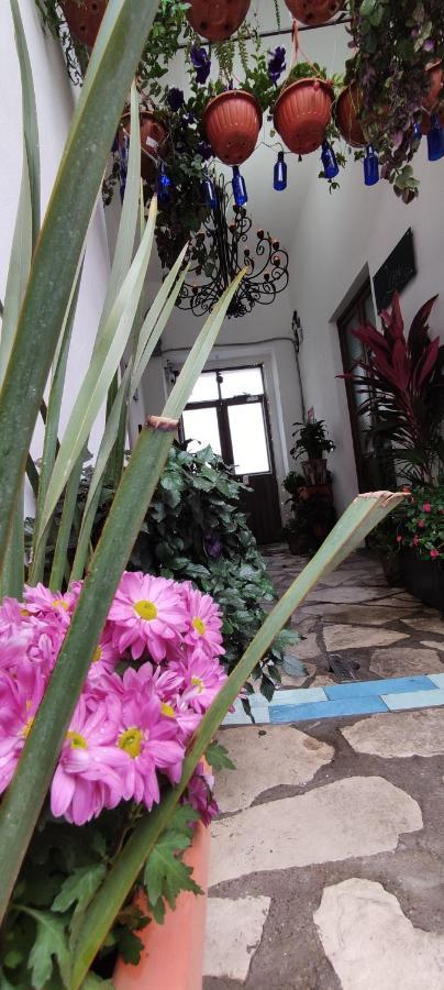 El Jardín de la Abuela Querétaro Exterior foto